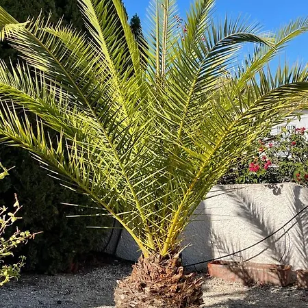 Casa Bella Сasa de vacaciones