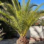 Casa Bella Сasa de vacaciones
